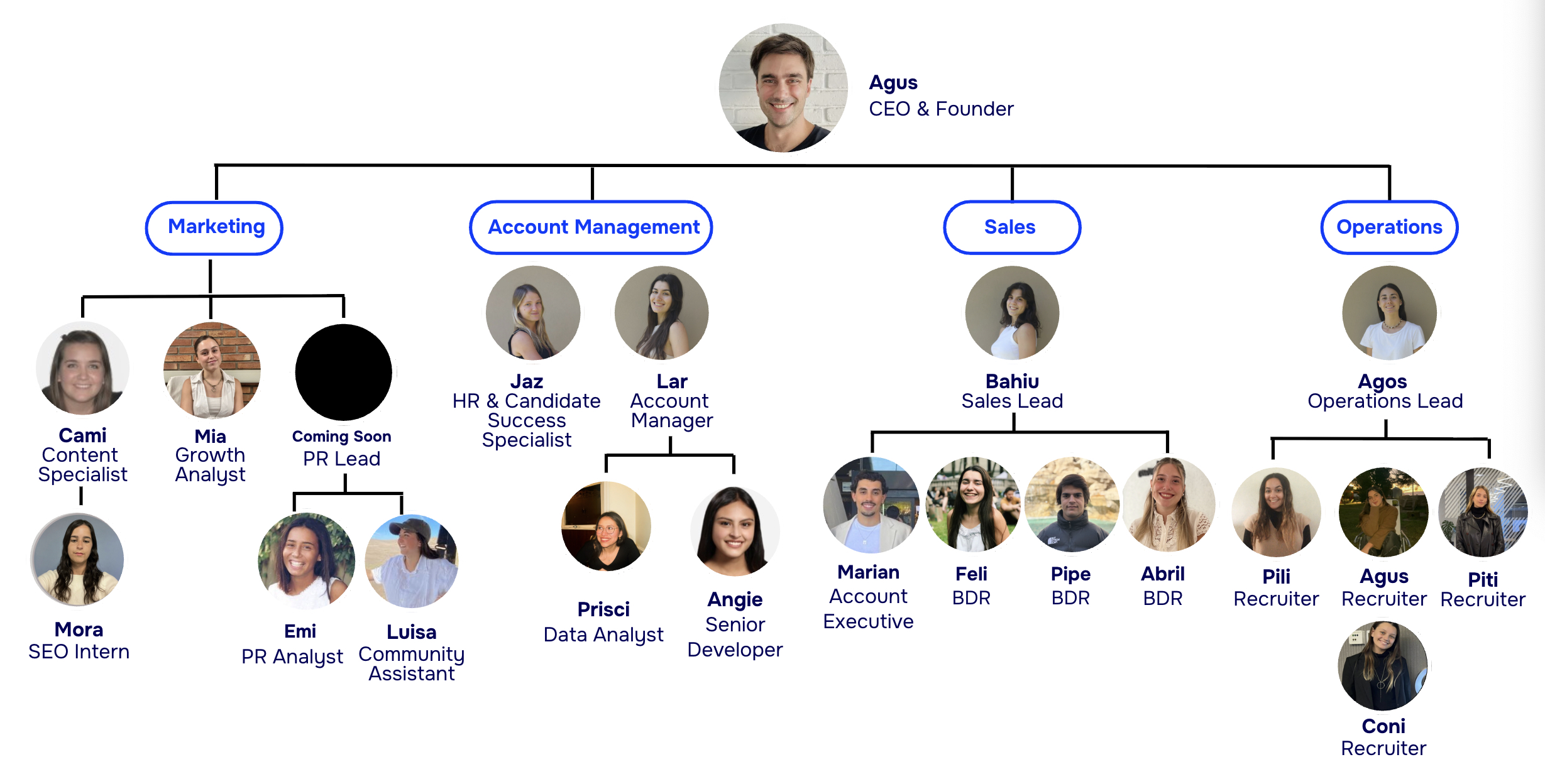 Vintti Team Org Chart
